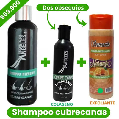 Combo Shampoo Anticanas + Regalo